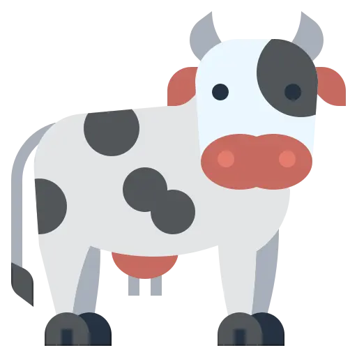 Cows