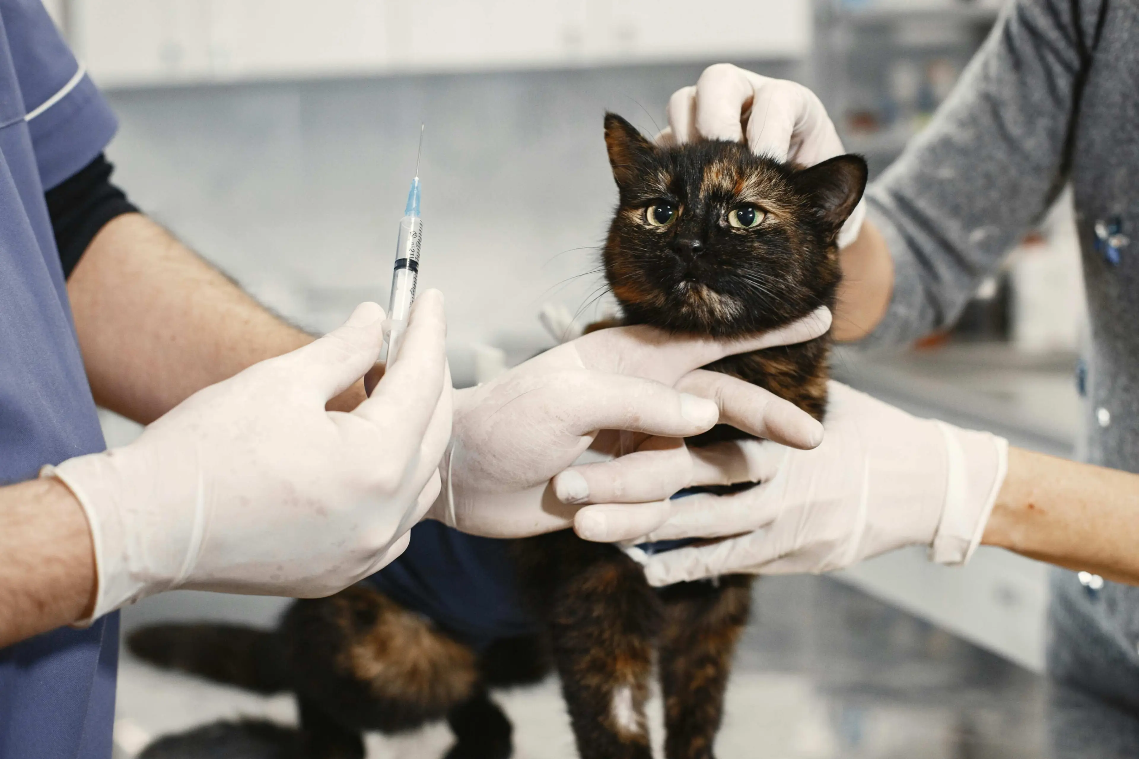 vaccination