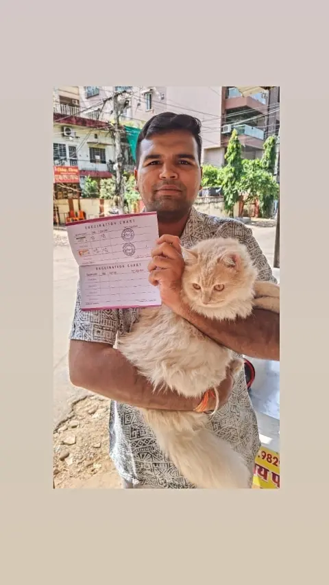 pet vaccination
