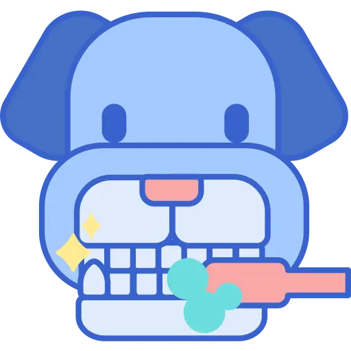 Dental Care